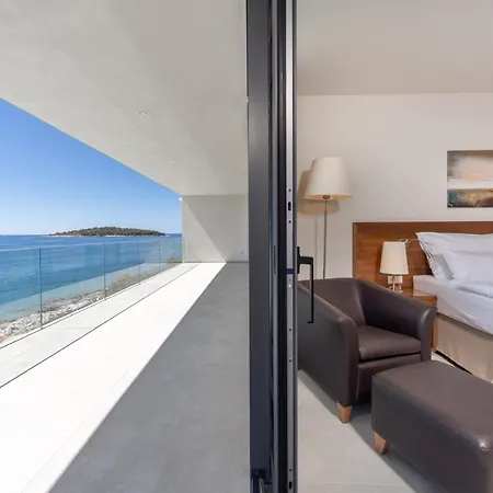 Animare 罗戈兹尼察