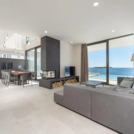 Animare * 罗戈兹尼察